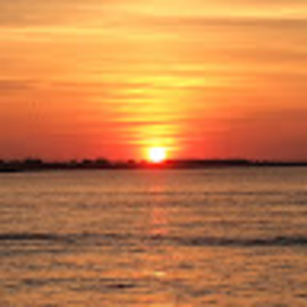 Meet your Posher, Jacy